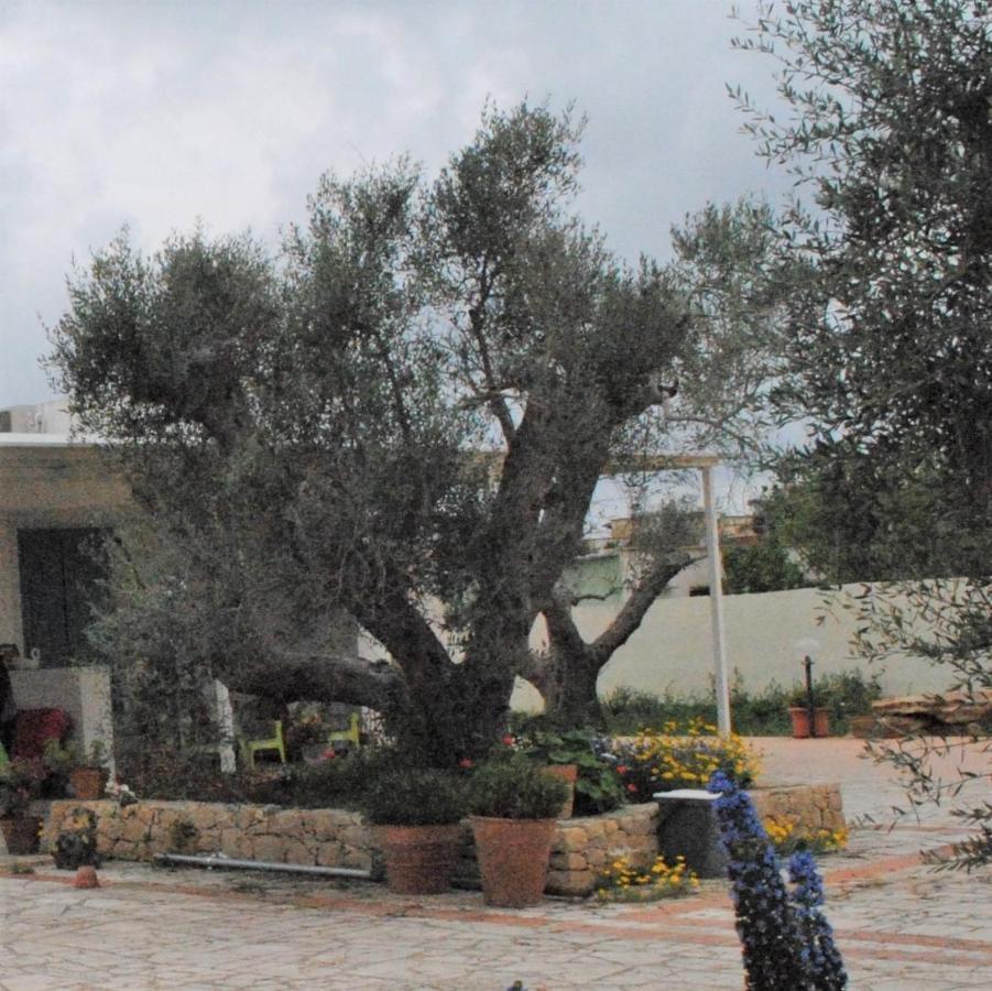Bed and Breakfast Microborgopasca Sannicola Exterior foto