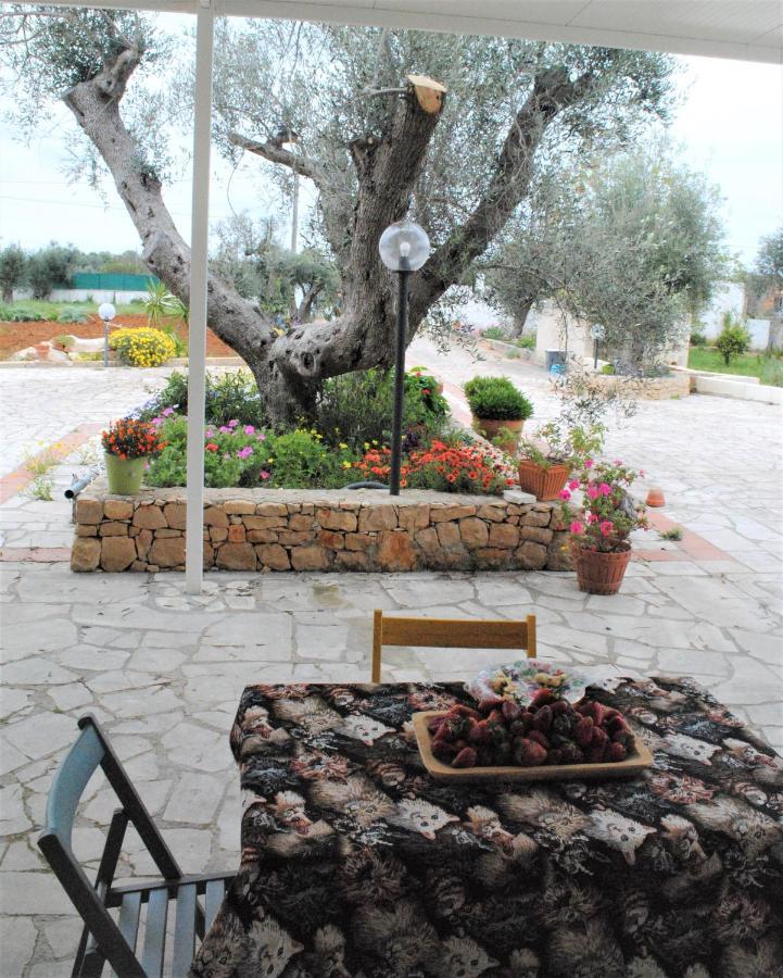 Bed and Breakfast Microborgopasca Sannicola Exterior foto